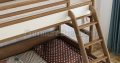 Designer Bunk Bed