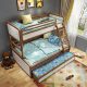 Designer Bunk Bed