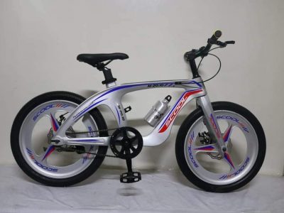 Bicycle for kids Model: School M20.10