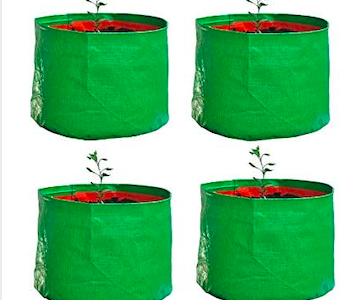 Plastic Grow Bag Big Size Terrace Gardening for Fruits and Vegetable