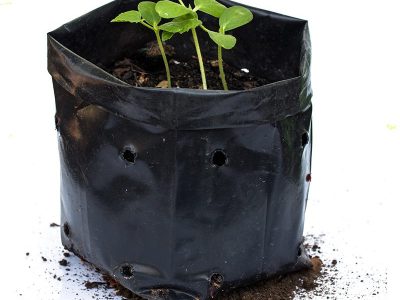 Plastic Poly Grow Bag