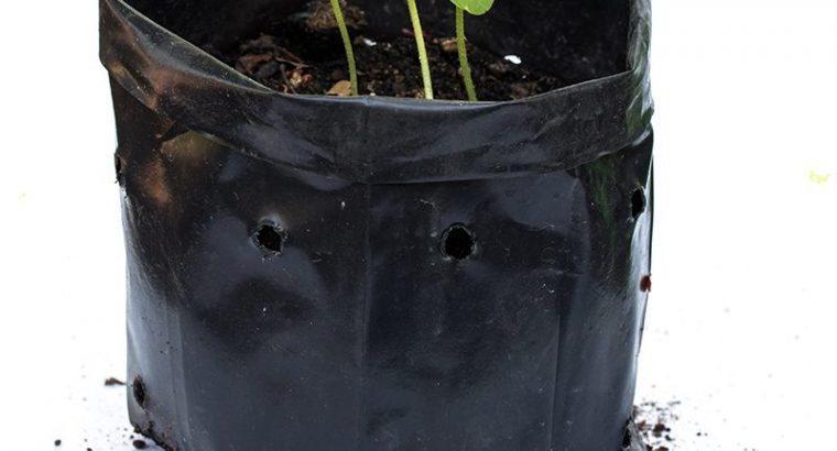 Plastic Poly Grow Bag