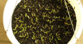 Rainbow Rose Seeds