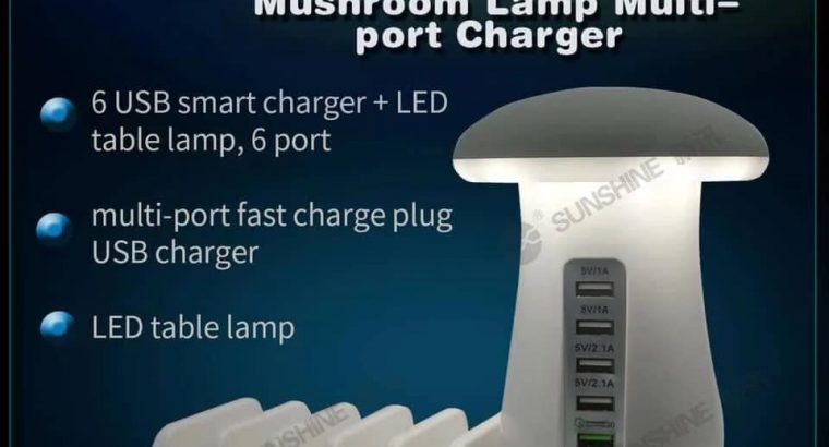 Multe port lamp charger